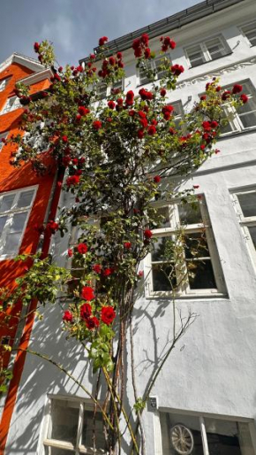 Beautiful Townhouse, Copenhagen